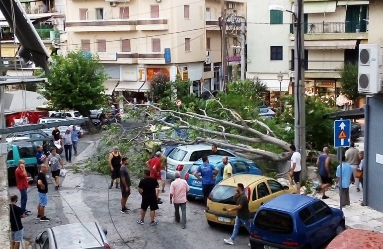 Πτώση μεγάλου δέντρου από την κακοκαιρία στην Ιωάννη Θεοτόκη (photos)