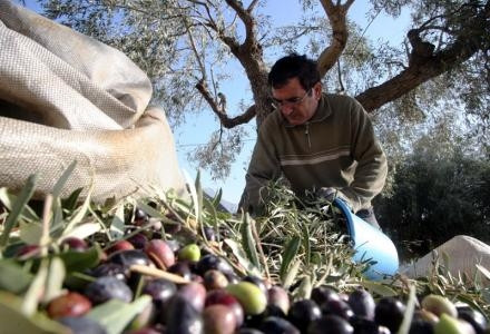 Ξεκίνησαν οι πληρωμές των επιδοτήσεων που εκκρεμούσαν