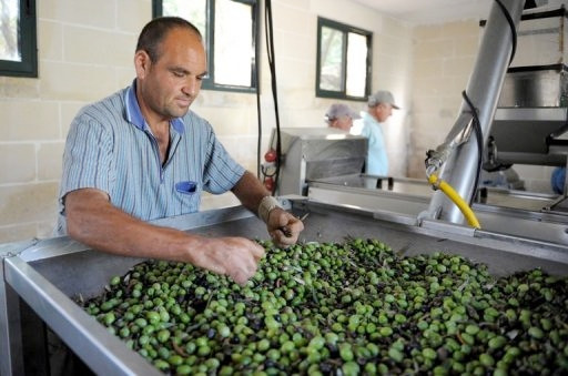 Αναγκαίες ενέργειες στα ελαιοτριβεία σύμφωνα με την νέα ΚΥΑ