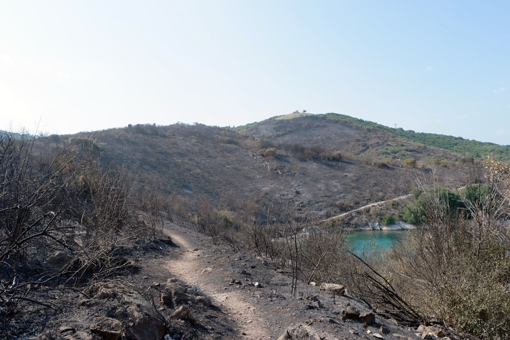 Επιστολή Μαχειμάρη στην κυβέρνηση για να κηρυχθεί αναδασωτέος ο Ερημίτης