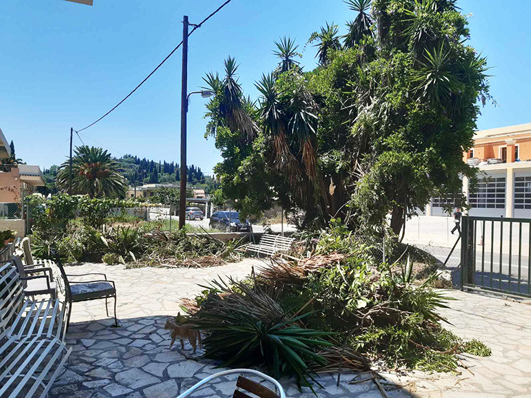 Μεταφορά 2 ατόμων στο Νοσοκομείο από πτώση κλαδιών φοίνικα
