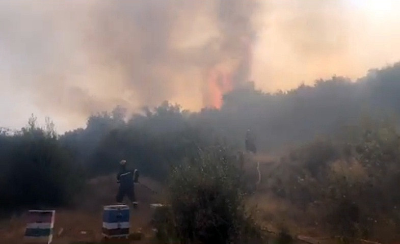 Στάχτη 30 στρέμματα στους Καλαφατιώνες - Πήρε τακτική δικάσιμο κατηγορούμενος για εμπρησμό εξ αμελείας