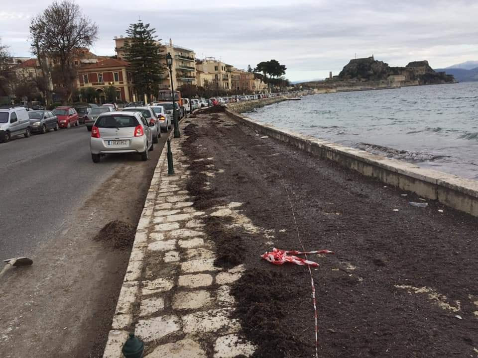 «Διαδήλωσαν»... υπέρ των φυκιών οι Κερκυραίοι παρκάροντας στην παραλιακή!