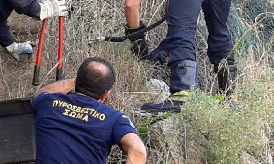 Βουτιά θανάτου για 67χρονο στον Αρίλλα